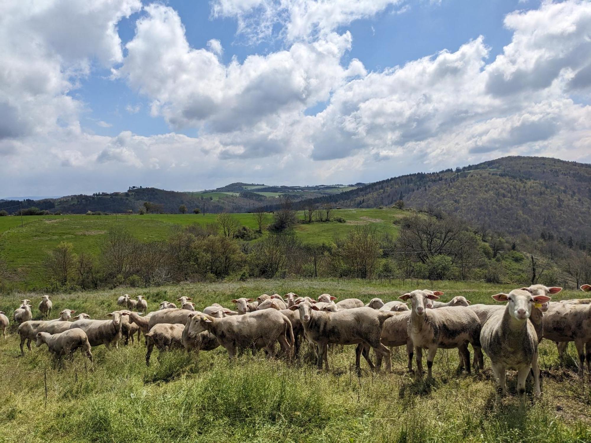 La Grange, Le Hameau Des Volcans - Deconnexion Face A La Vue Saint-Just-pres-Brioude エクステリア 写真